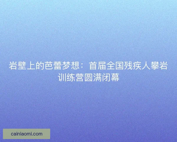岩壁上的芭蕾梦想：首届全国残疾人攀岩训练营圆满闭幕