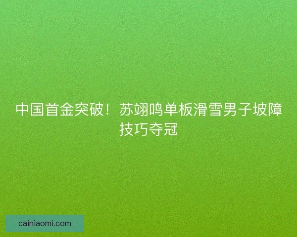 中国首金突破！苏翊鸣单板滑雪男子坡障技巧夺冠