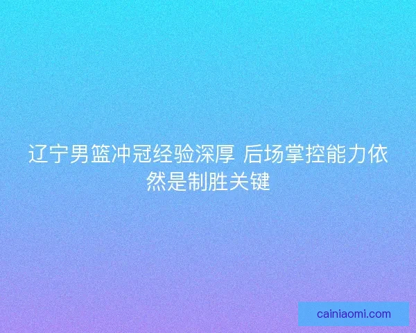 辽宁男篮冲冠经验深厚 后场掌控能力依然是制胜关键