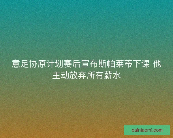 意足协原计划赛后宣布斯帕莱蒂下课 他主动放弃所有薪水